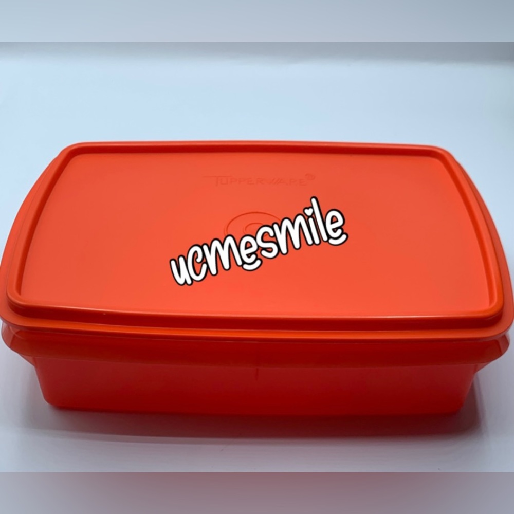 Tupperware Divided Stow-N-Go Craft Box